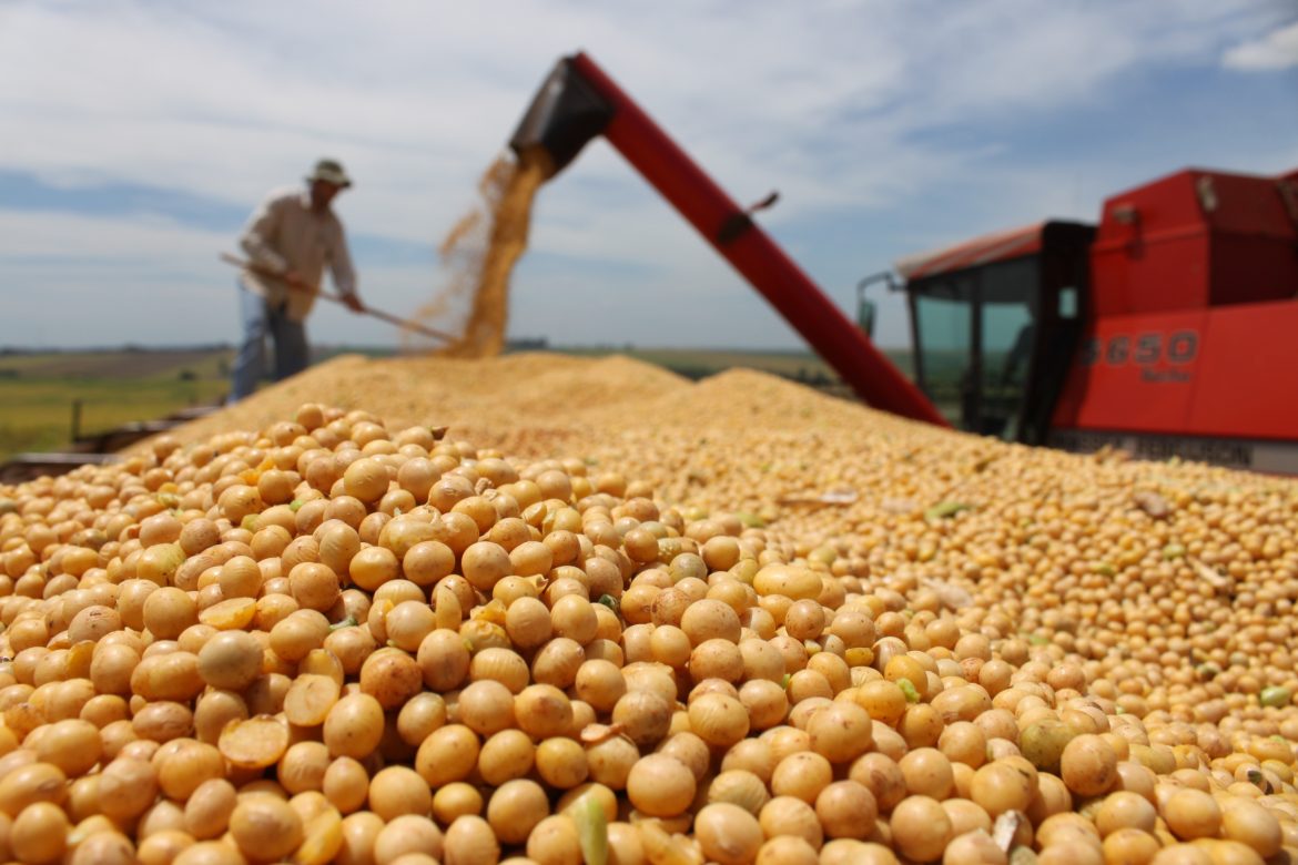 Exportações do agronegócio registram recorde em julho, com destaque para a soja