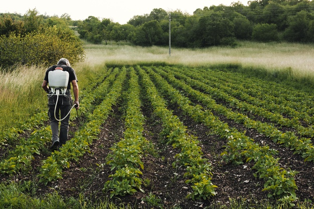População ocupada no agro cresce 0,9% no segundo trimestre de 2025
