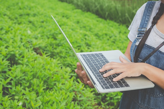 Mercado de tecnologias em agricultura digital tem novidades na plataforma AgroAPI