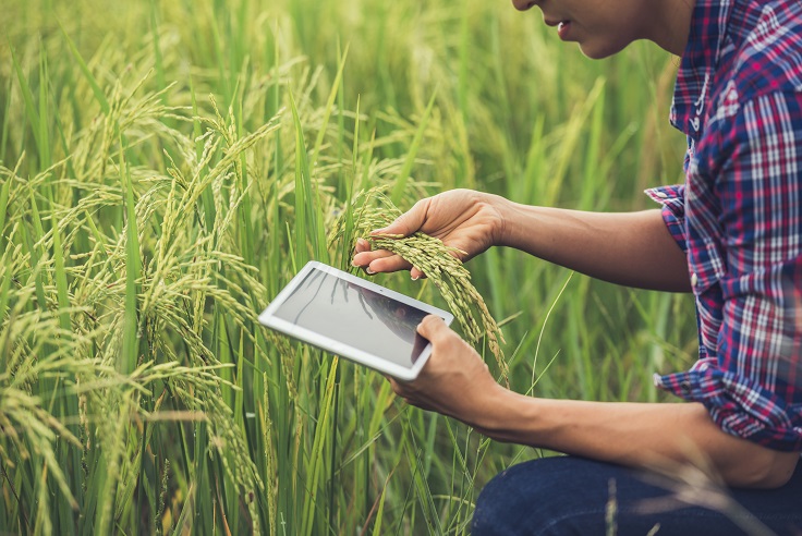 10 Tecnologias Que Revolucionaram O Agro Máquinas E Inovações Agrícolas