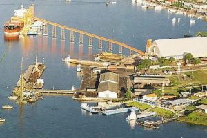 Foto: Arquivo/ MAPA