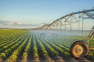 Área irrigada no Brasil cresceu 18,96% em 2020 - Máquinas e