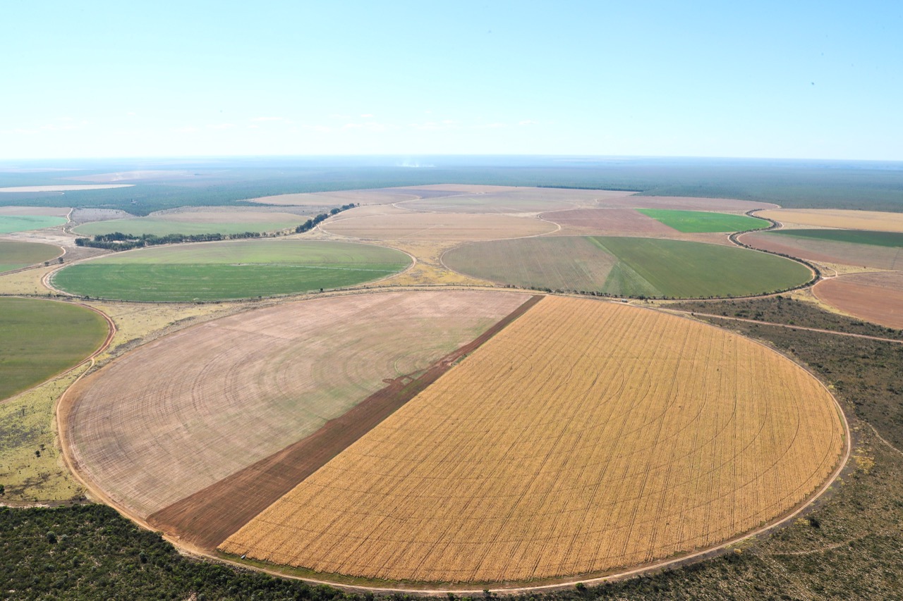 O surgimento da agricultura e do Estado