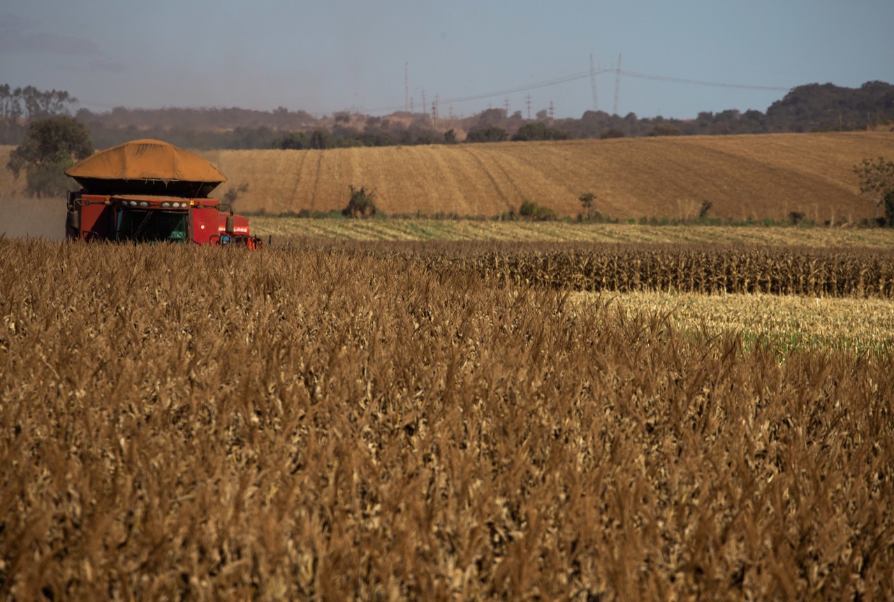 Conab aponta queda de 6,3% na produção de grãos na safra 2023/24