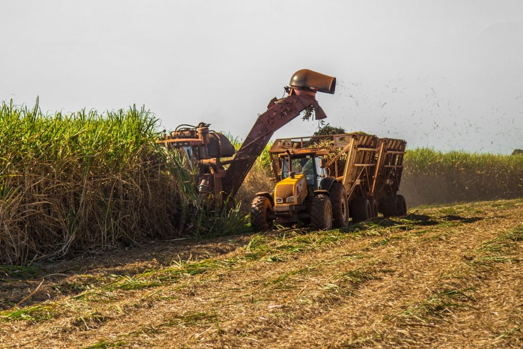 Moagem de cana cresce 2,75% e alcança 34 milhões de toneladas