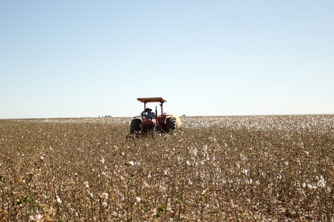 Desempenho do PIB da agropecuária pode impulsionar novo Plano Safra