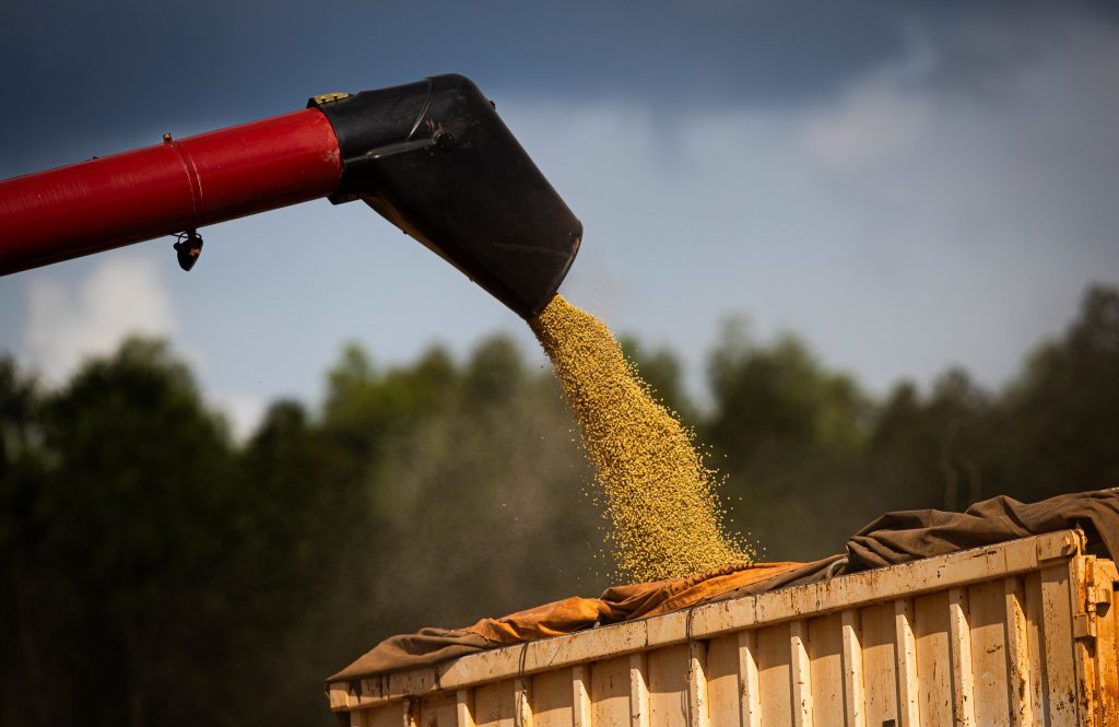 CNA divulga boletim com análise das exportações do agro em agosto