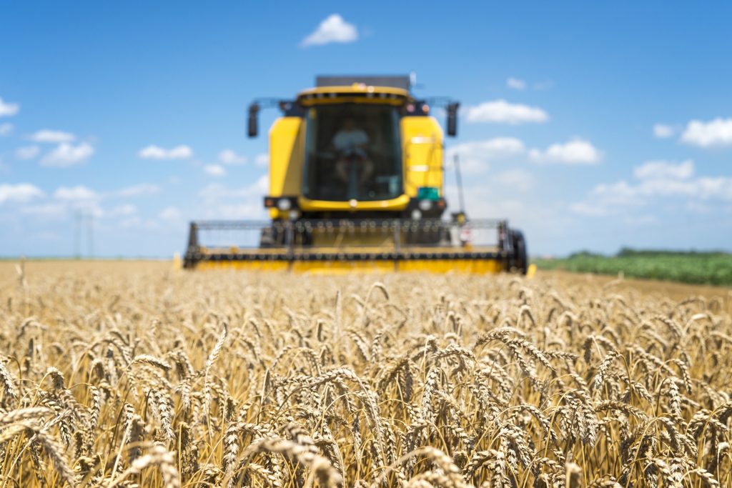 Agroindústria cresce 2,3% em setembro de 2025, revela o FGVAgro