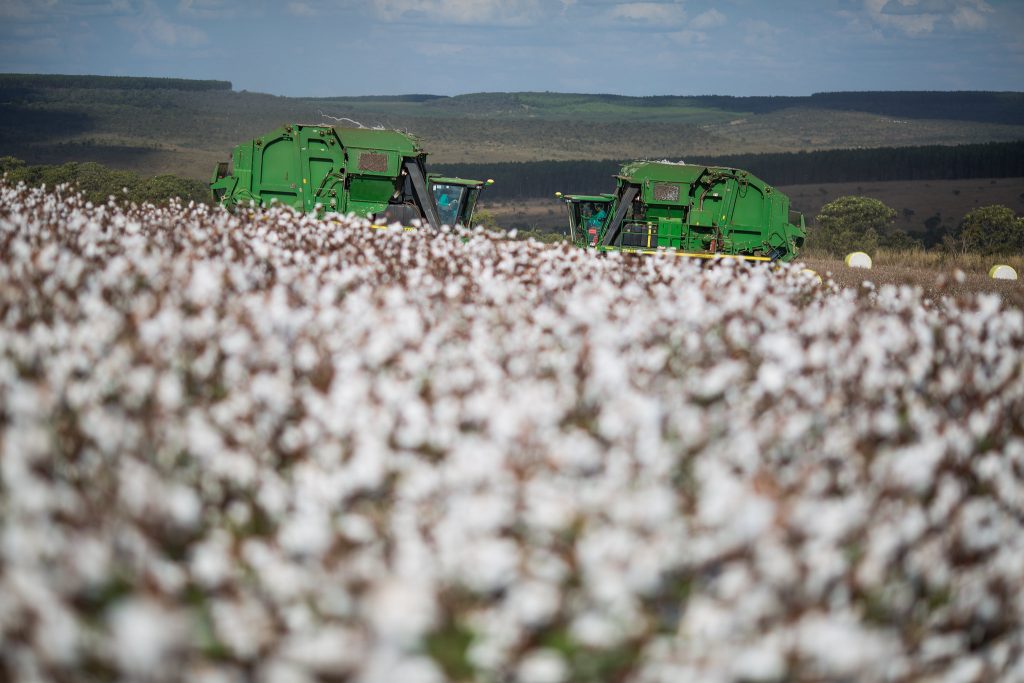 PIB do agronegócio pode chegar a 5% em 2025, avalia CNA