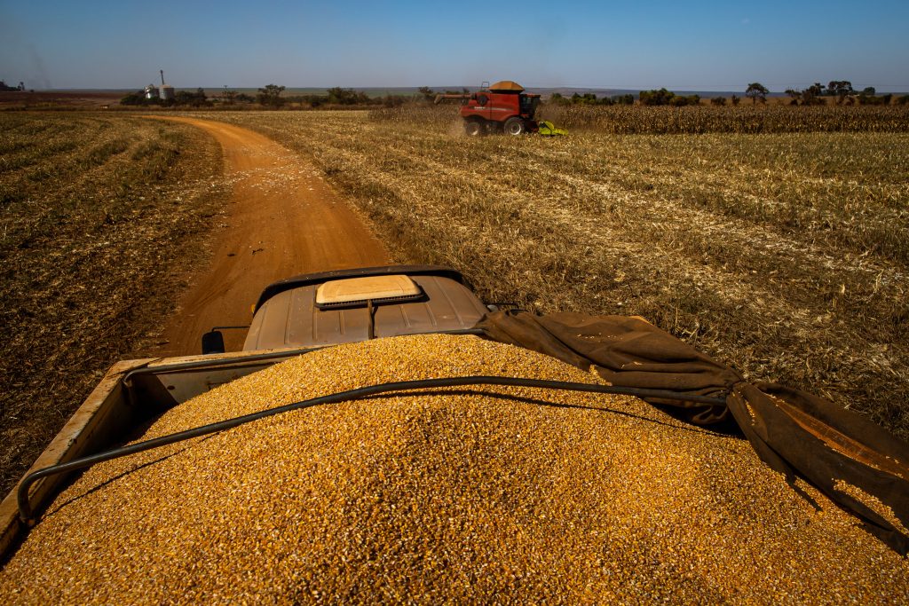 Agroindústria apresenta expansão de 1,8% em abril, diz FGVAgro
