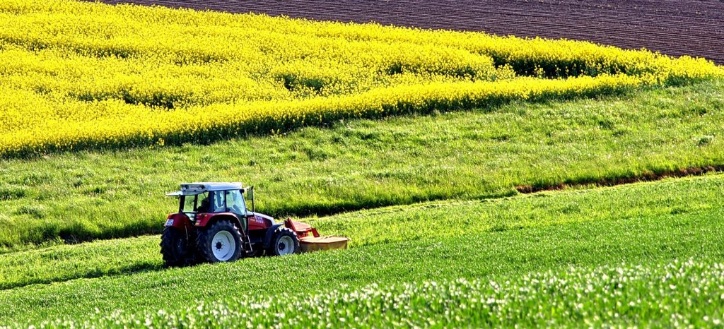 VBP da agropecuária deve recuar 1,9% em 2024, aponta CNA