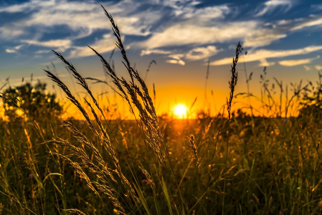 PIB do agronegócio paulista cresce 1,81% entre 2010 e 2023