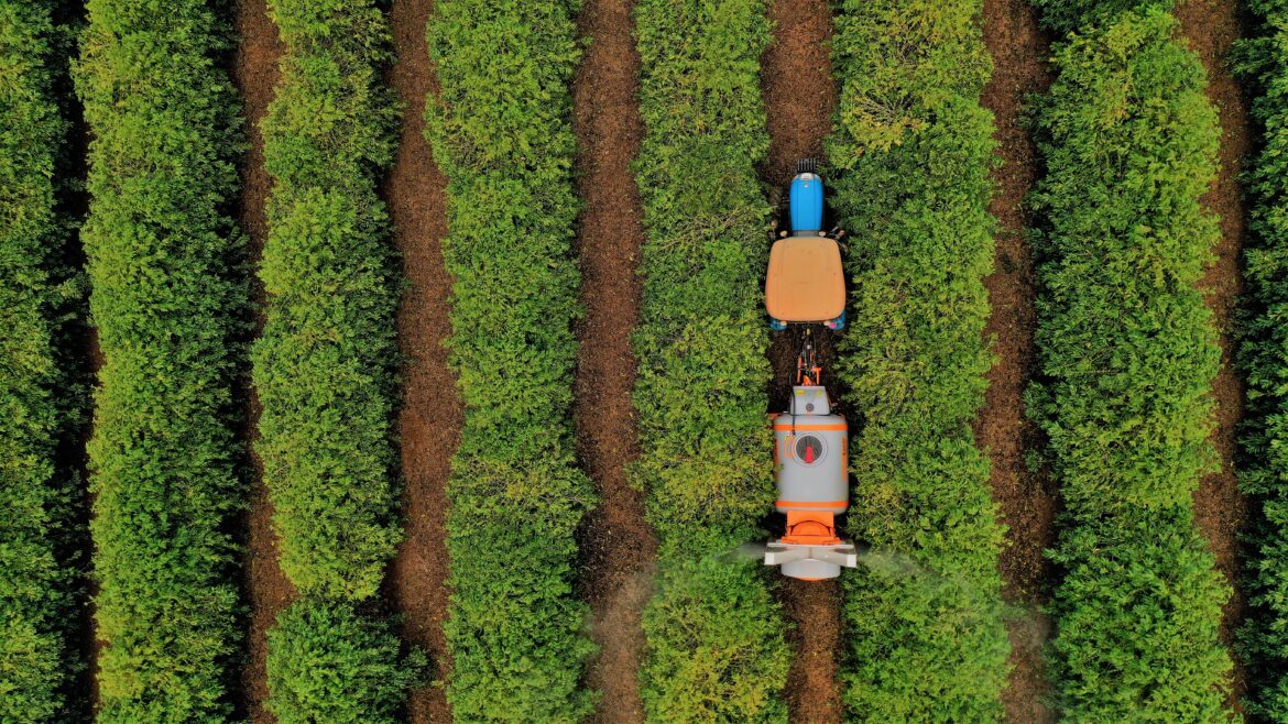 Estudo identifica 130 municípios com elevado desenvolvimento agropecuário