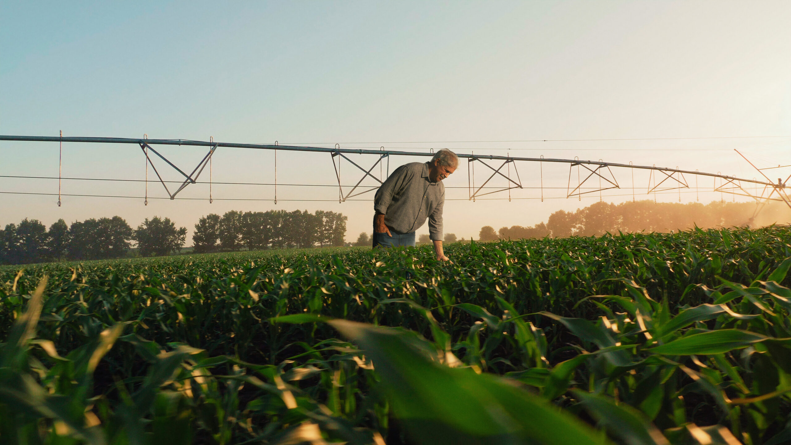 Inadimplência do agro permanece estável em 2023, aponta Serasa