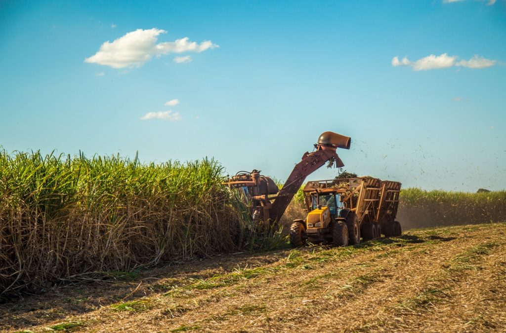 Plataforma digital vai conectar o ecossistema do biometano em SP