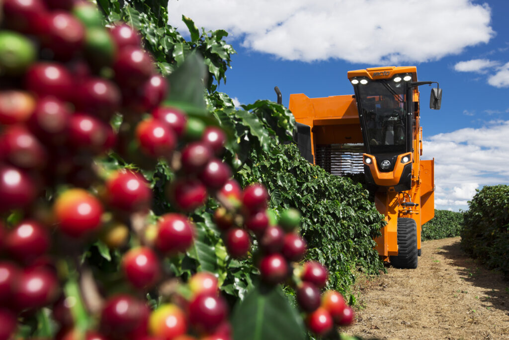 São Paulo lidera exportações do agronegócio brasileiro em 2024