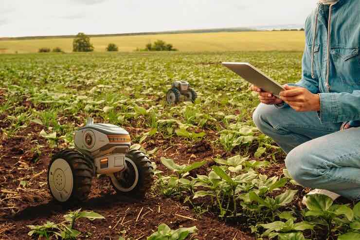 Agricultura digital: inteligência artificial e a evolução do agro