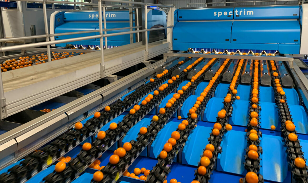 Tomra Food promove reestruturação no mercado brasileiro