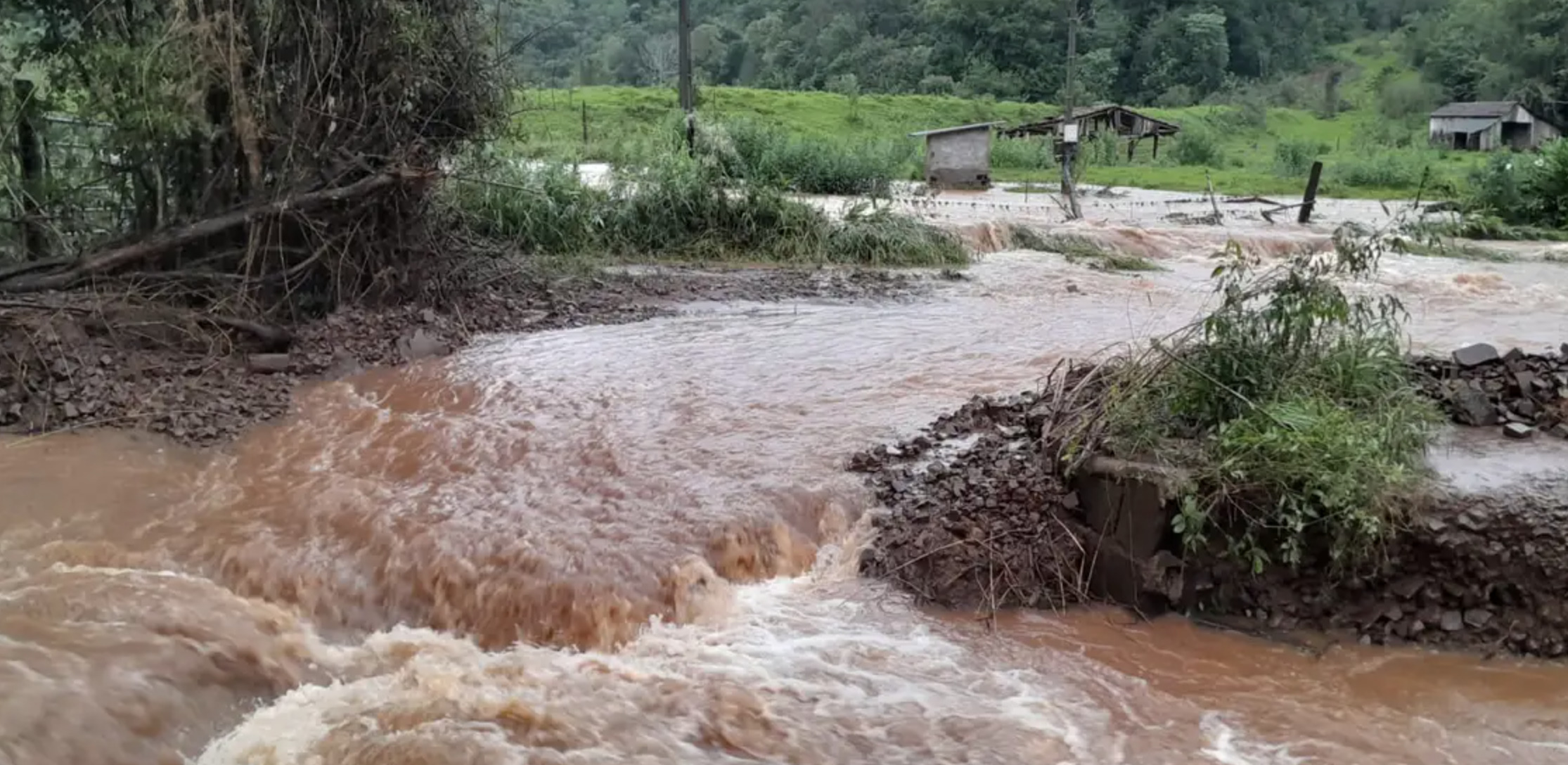 Agro já sente os impactos das enchentes no Rio Grande do Sul