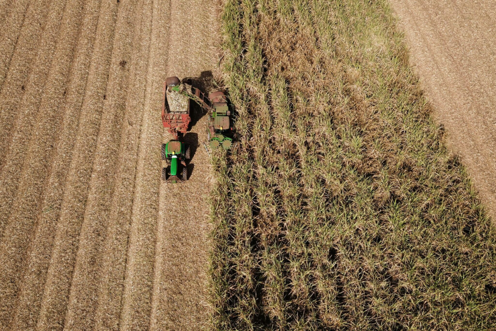 Agro paulista contribui com US$ 25 bilhões para balança comercial do estado