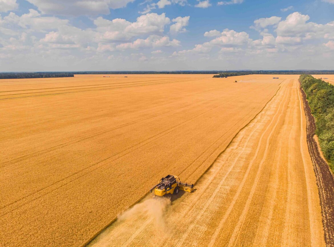 Queda nos preços deve reduzir faturamento da agropecuária em 2026