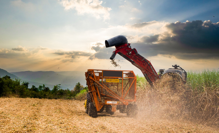 Exportações do agro atingem US$ 15,20 bilhões em junho