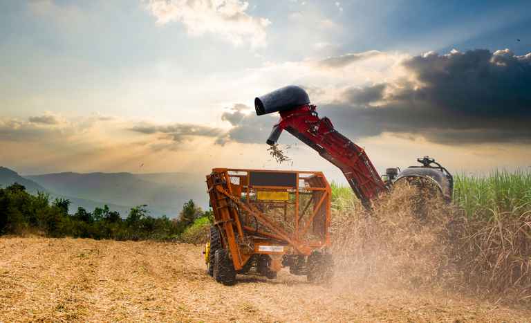 Exportações do agronegócio batem recorde e registram superávit em julho