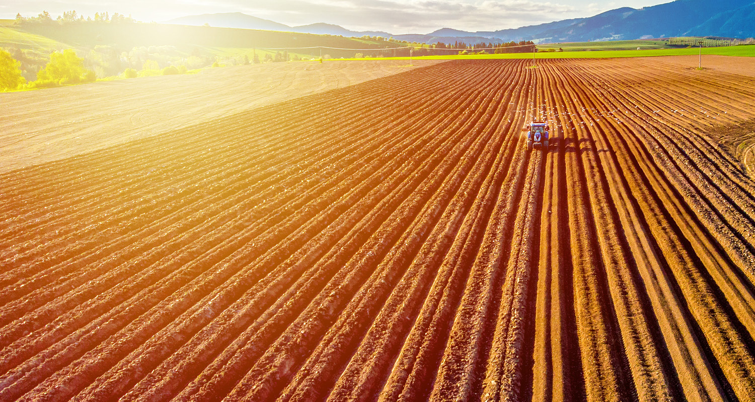 PIB de São Paulo cresce com agropecuária em destaque, que cresceu 3,1%