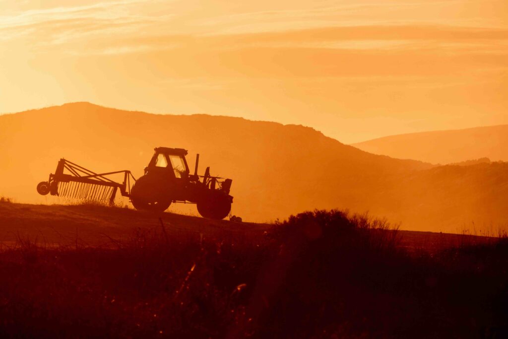 Agroindústria acumula alta de 3,3% no ano até julho, diz FGVAgro