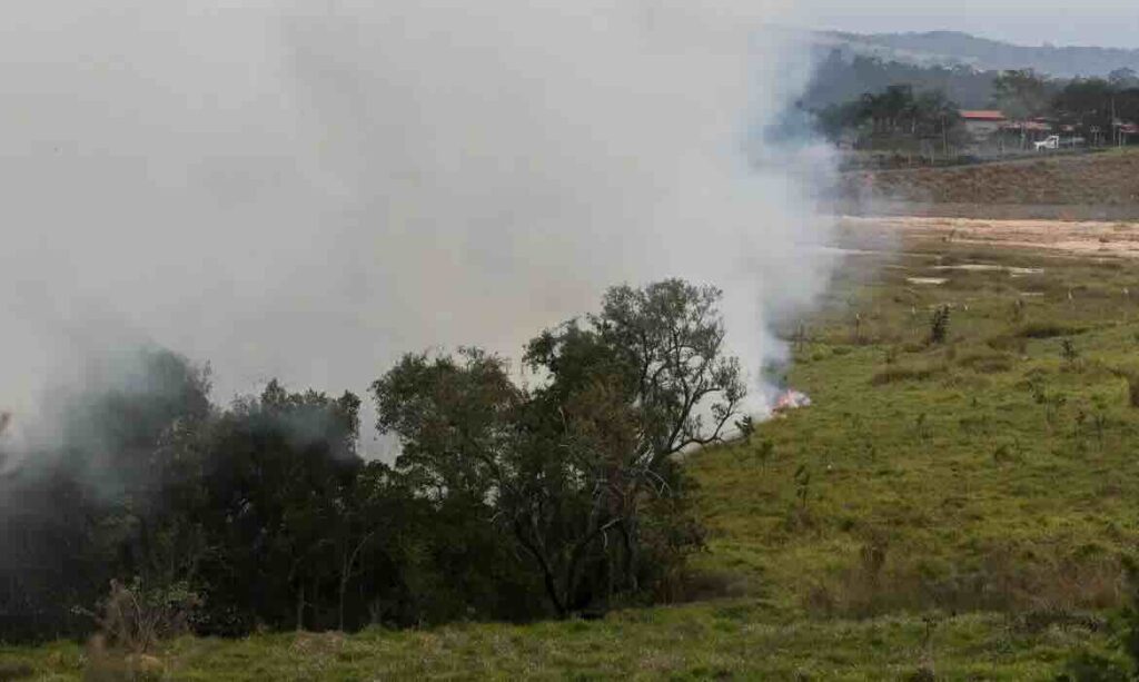 Incêndios em canaviais causaram prejuízo de R$ 350 milhões, diz Orplana