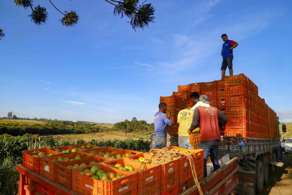 Investimentos do Paraná na agricultura cresceram 344% no 1º semestre