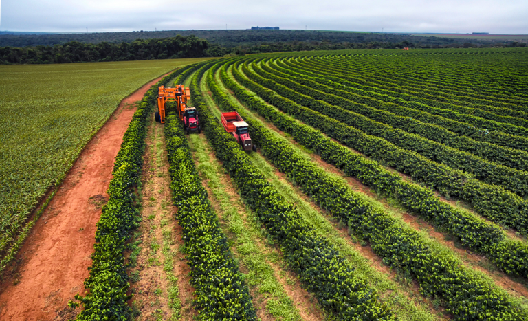 Com ano safra completo, desembolso do crédito rural chega a R$ 400,7 bi