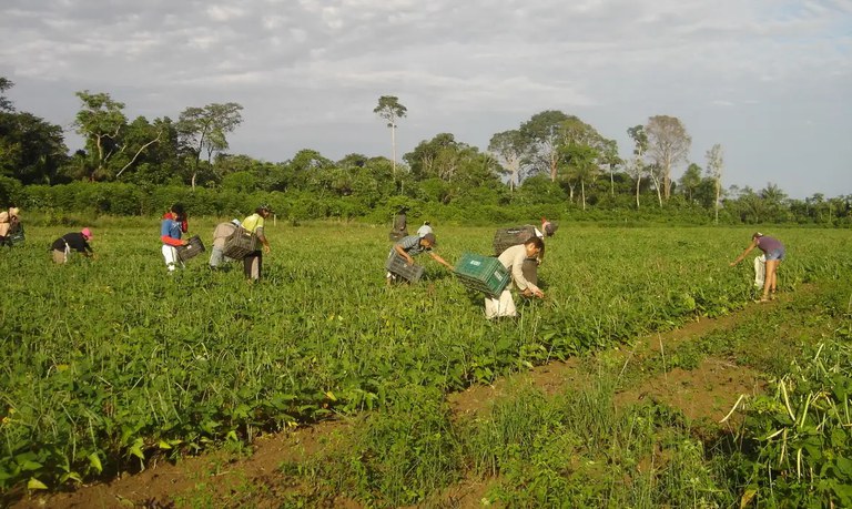 MDA defende isenção tributária para agricultura familiar adquirir insumos