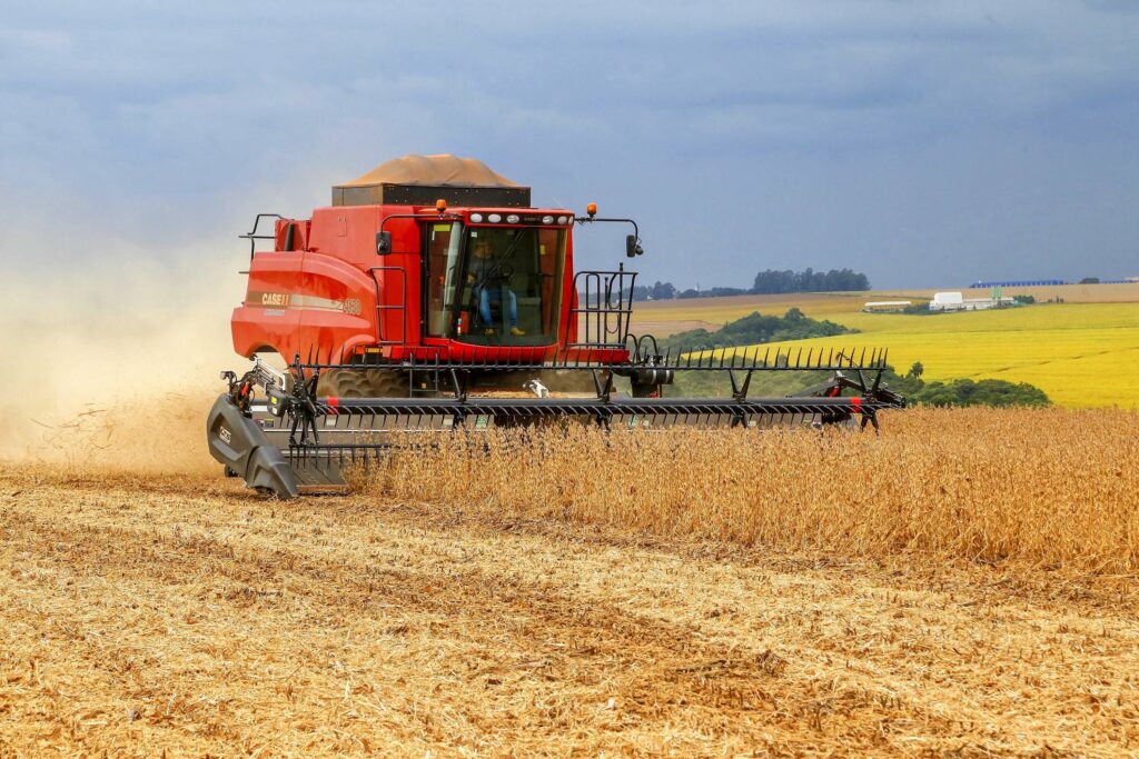 Paraná: chuvas favorecem plantio e produção de soja é de 22,4 milhões de t