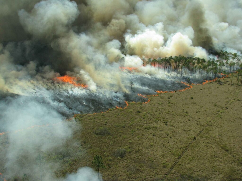 Desafio das queimadas: incêndios geram impactos dentro e fora do agro