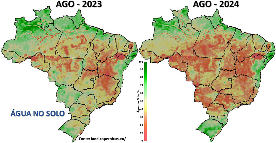 Focos de queimadas atingem número recorde em áreas de matas em 2024