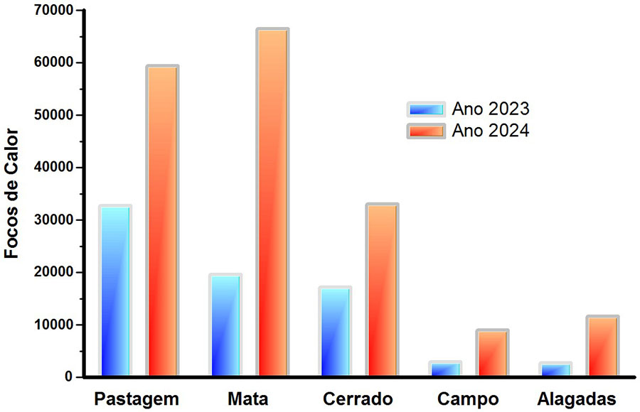 Focos de queimadas atingem número recorde em áreas de matas em 2024