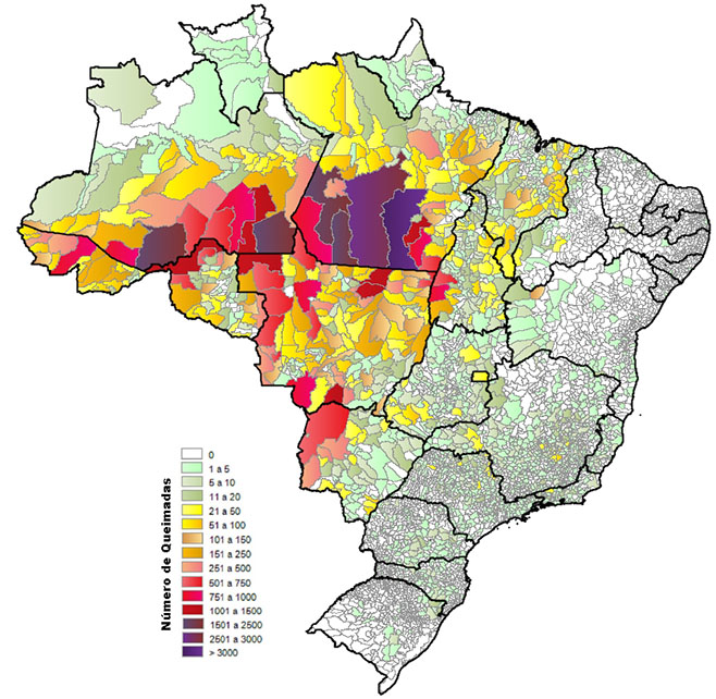 Focos de queimadas atingem número recorde em áreas de matas em 2024