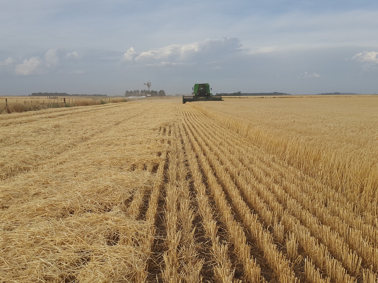 Exportações do agro batem recorde e alcançam US$ 14,19 bi em setembro