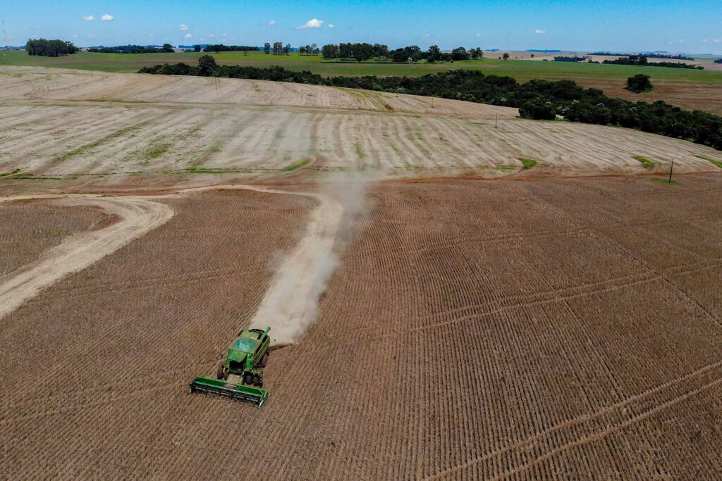 Primeira safra de feijão tem aumento de 55% de área plantada no Paraná