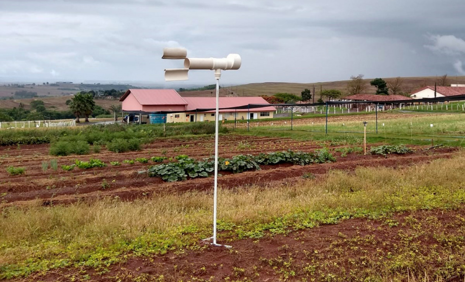 Pesquisadores do Paraná usam IA para combate da ferrugem da soja