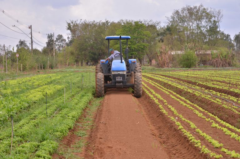 Nova lei garante mais recursos de crédito para a agricultura familiar 