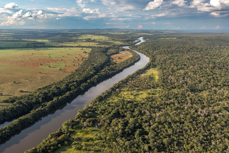 Parceria entre empresas vai promover agricultura regenerativa no Cerrado