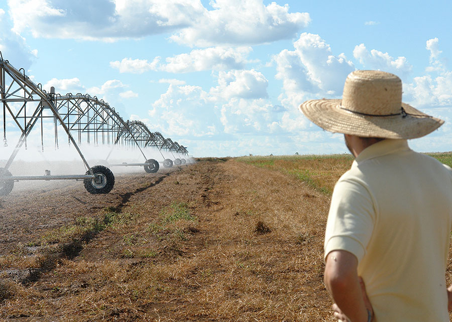 Oeste da Bahia tem maior polo de irrigação por pivôs centrais no Brasil