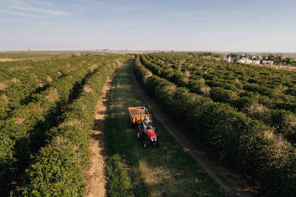 Yanmar projeta fechar o ano com 14% de participação no mercado de tratores