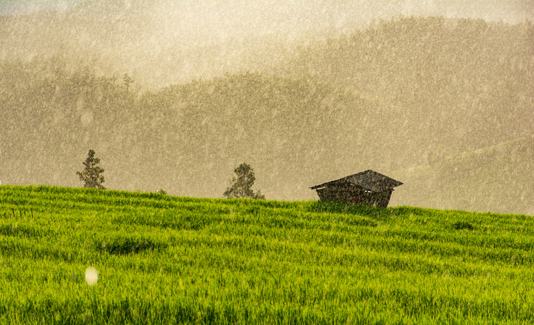 Veja como fica o clima em janeiro; previsão indica chuvas concentradas