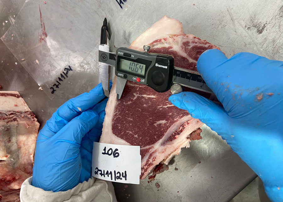 Pesquisa da Embrapa usa tecnologia para definir “impressão digital” da carne gaúcha