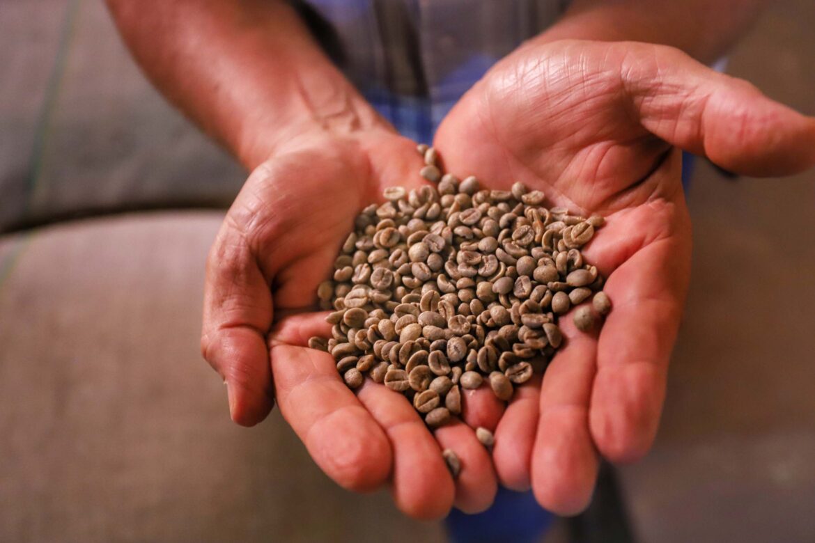 Exportação de café do Brasil cai 8,4% em maio no comparativo anual
