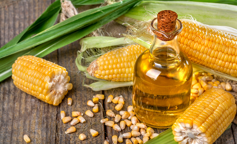 Agro brasileiro exportou US$ 15,03 bilhões em abril, um aumento de 0,4% - Agro brasileiro exportou US$ 15,03 bilhões em abril, um aumento de 0,4%