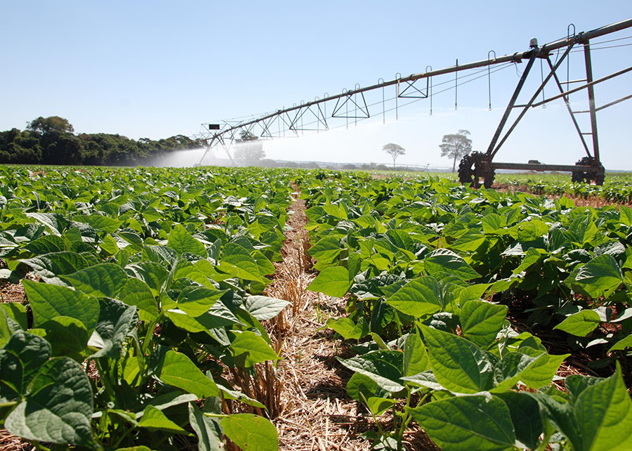 PIB do agro cresce 6,49% no primeiro trimestre de 2025, apontam CNA e Cepea
